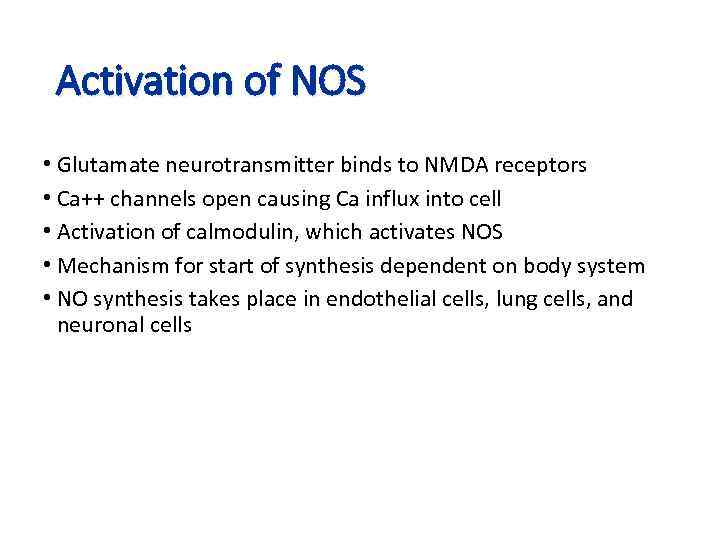 Activation of NOS • Glutamate neurotransmitter binds to NMDA receptors • Ca++ channels open