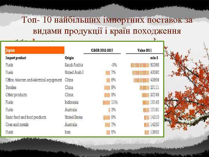 Топ- 10 найбільших імпортних поставок за видами продукції і країн походження 