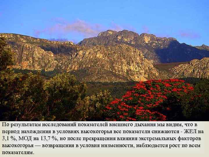  По результатам исследований показателей внешнего дыхания мы видим, что в период нахождения в