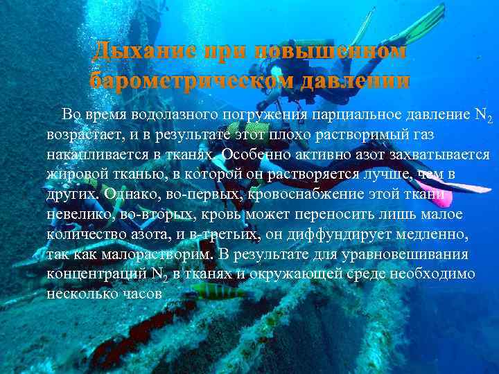 Дыхание при повышенном барометрическом давлении Во время водолазного погружения парциальное давление N 2 возрастает,