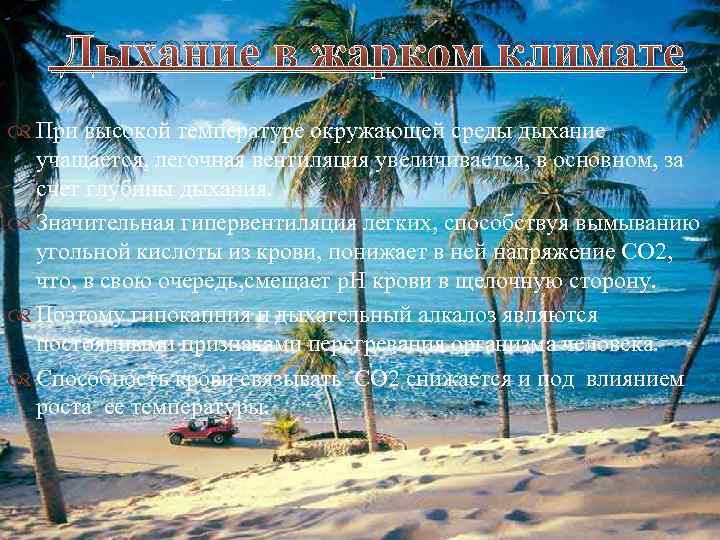 Дыхание в жарком климате При высокой температуре окружающей среды дыхание учащается, легочная вентиляция увеличивается,