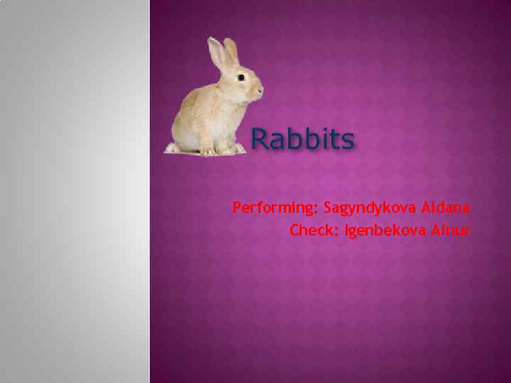 Performing: Sagyndykova Aidana Check: Igenbekova Ainur 