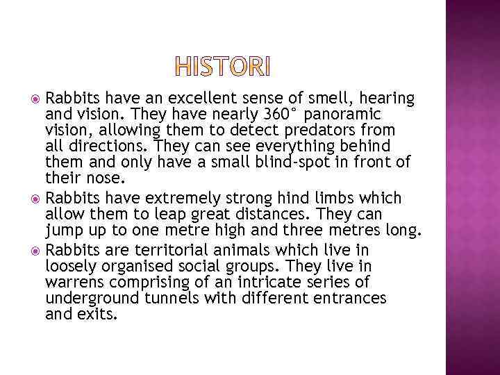Rabbits have an excellent sense of smell, hearing and vision. They have nearly 360°