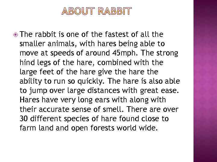  The rabbit is one of the fastest of all the smaller animals, with