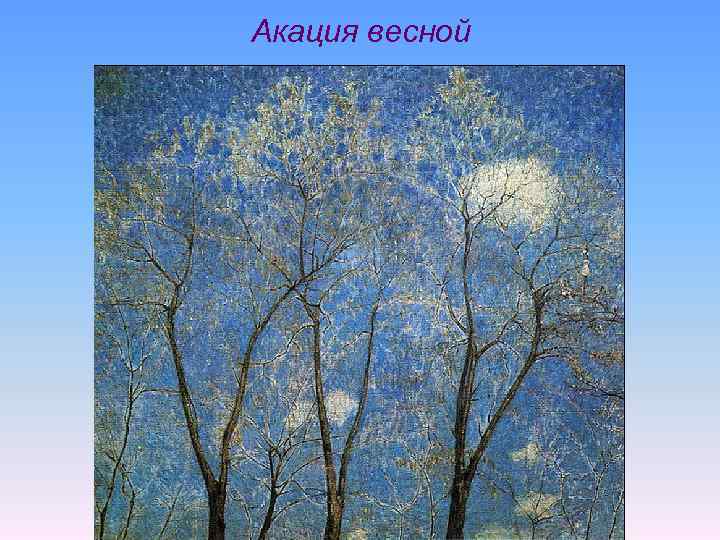 Акация весной 