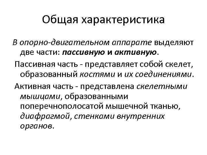 Общая характеристика В опорно-двигательном аппарате выделяют две части: пассивную и активную. Пассивная часть -