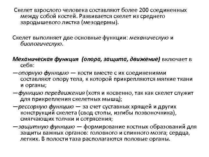 Скелет взрослого человека составляют более 200 соединенных между собой костей. Развивается скелет из среднего