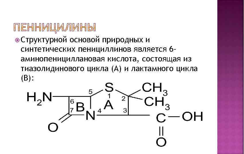  Структурной основой природных и синтетических пенициллинов является 6 аминопенициллановая кислота, состоящая из тиазолидинового