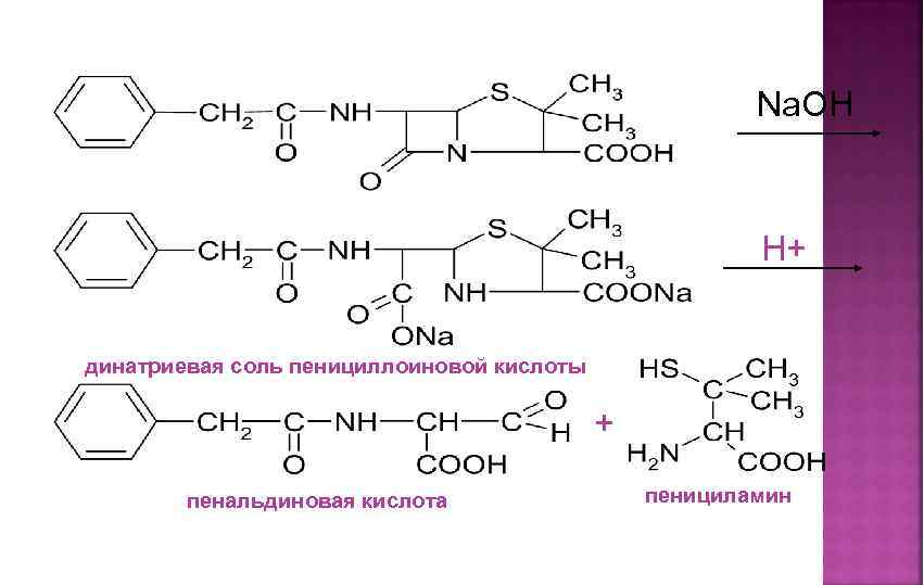 Na. OH H+ динатриевая соль пенициллоиновой кислоты + пенальдиновая кислота пенициламин 