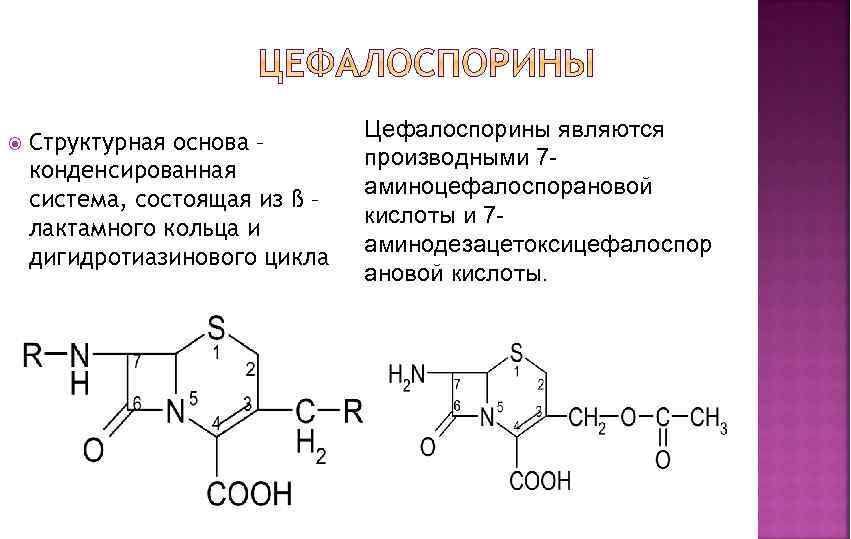  Структурная основа – конденсированная система, состоящая из ß – лактамного кольца и дигидротиазинового