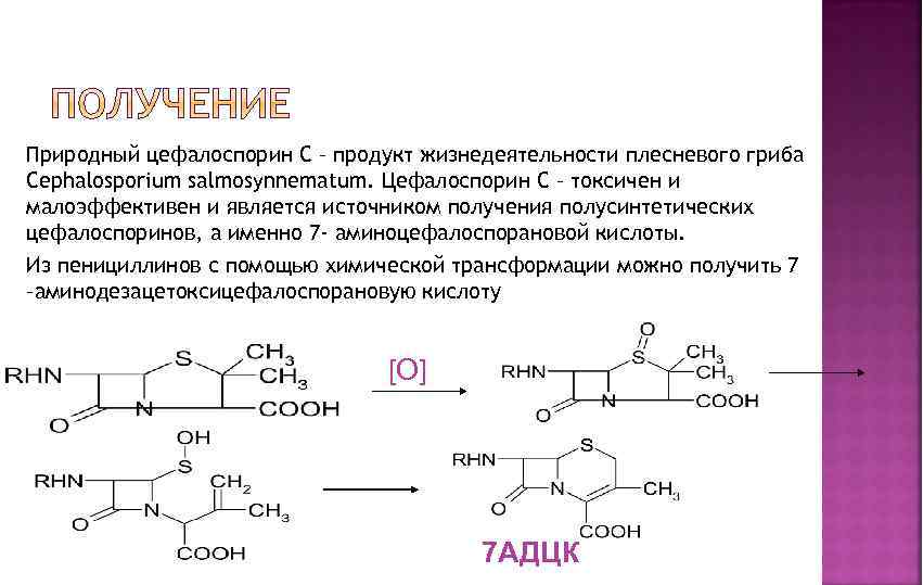 Природный цефалоспорин С – продукт жизнедеятельности плесневого гриба Cephalosporium salmosynnematum. Цефалоспорин С – токсичен