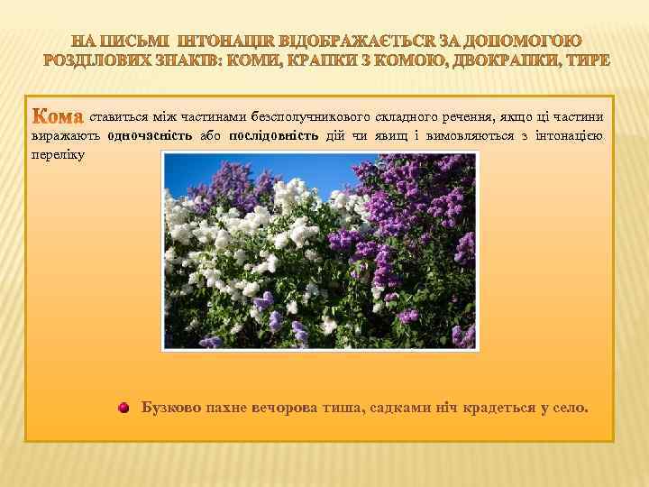 ставиться між частинами безсполучникового складного речення, якщо ці частини виражають одночасність або послідовність дій