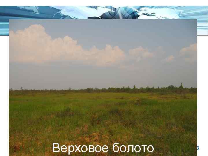 Верховое болото Page 13 