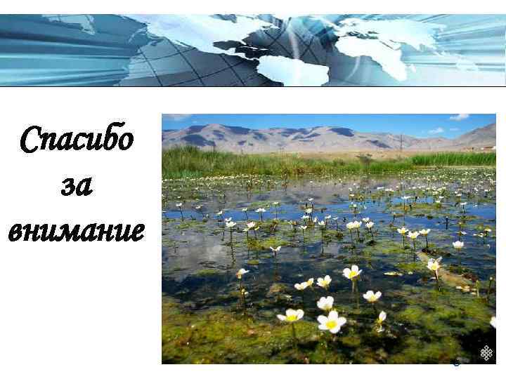 Спасибо за внимание Page 16 