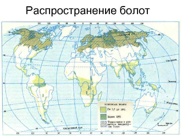 Распространение болот 