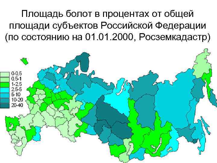 Названия болот на карте. Карта распространения болот на территории России. Болота России на карте. Карта площади болот в России. Заболоченные территории России на карте.