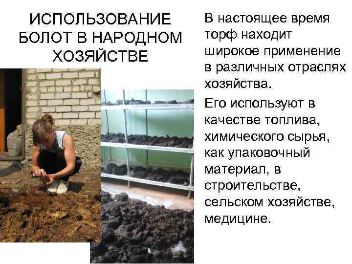 ИСПОЛЬЗОВАНИЕ БОЛОТ В НАРОДНОМ ХОЗЯЙСТВЕ В настоящее время торф находит широкое применение в различных