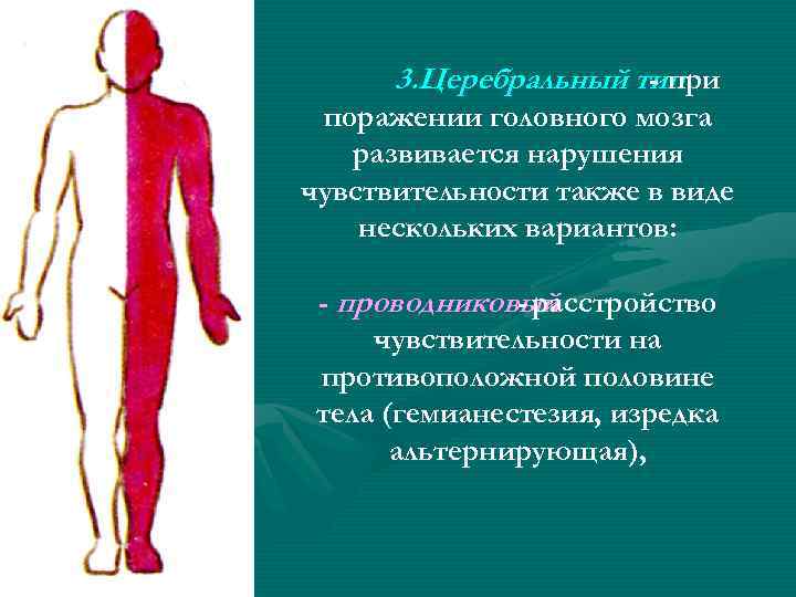 3. Церебральный тип - при поражении головного мозга развивается нарушения чувствительности также в виде
