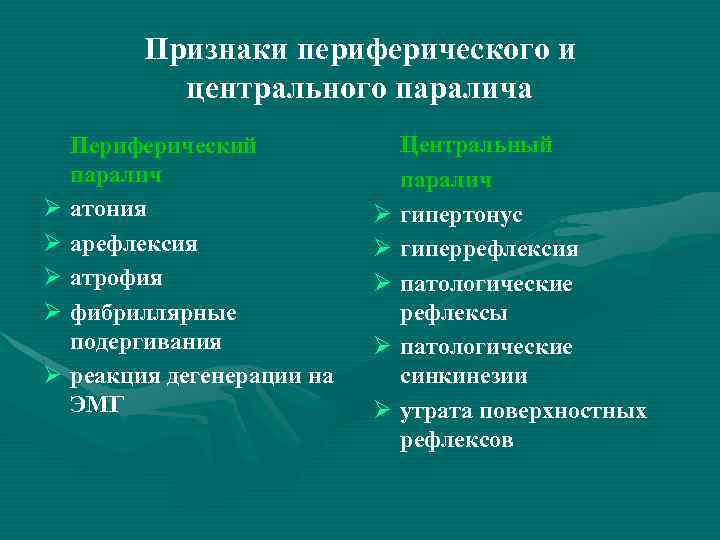 Для клинической картины периферического паралича характерно в логопедии