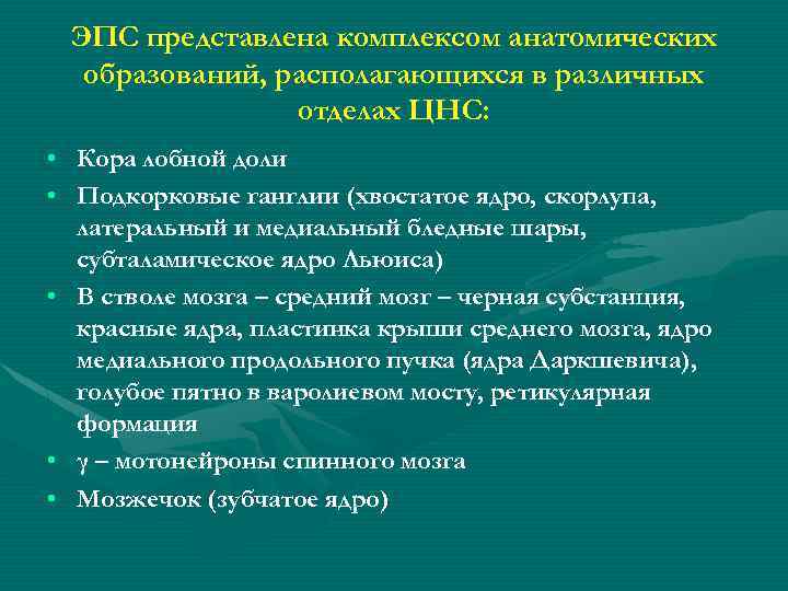ЭПС представлена комплексом анатомических образований, располагающихся в различных отделах ЦНС: • Кора лобной доли