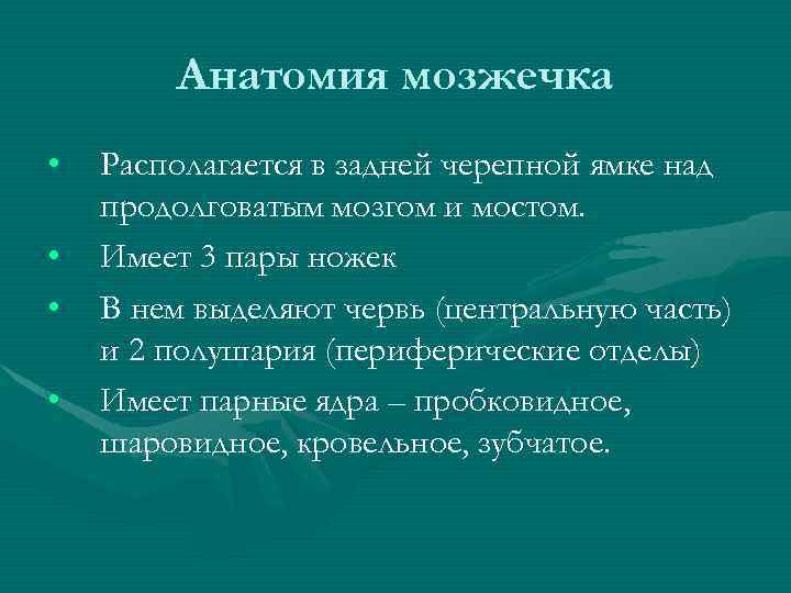 Анатомия мозжечка • • Располагается в задней черепной ямке над продолговатым мозгом и мостом.