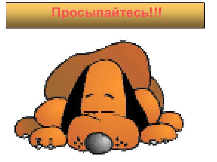 Просыпайтесь!!! 