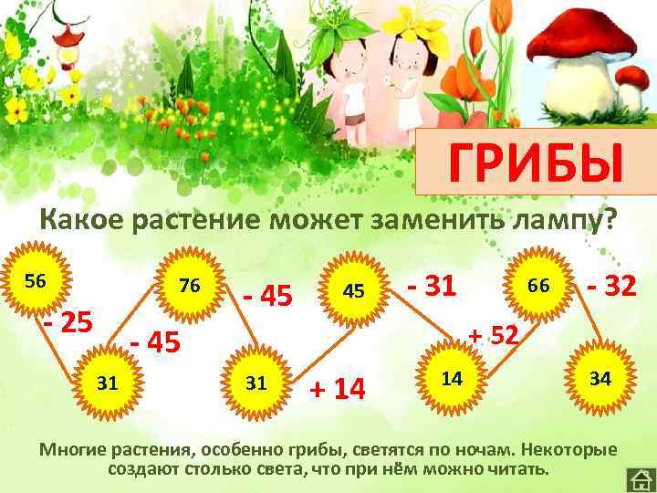 ГРИБЫ Какое растение может заменить лампу? 56 76 - 25 - 45 45 -