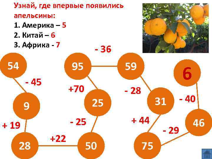 Узнай, где впервые появились апельсины: 1. Америка – 5 2. Китай – 6 3.