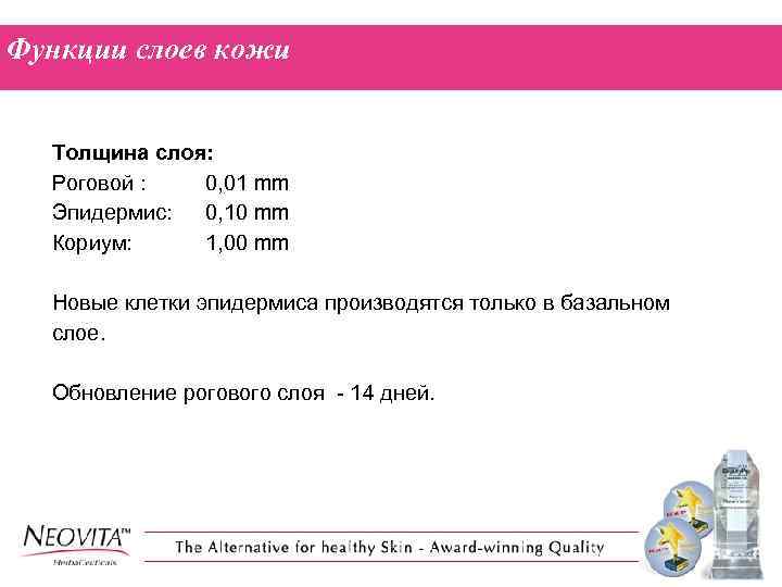 Функции слоев кожи Толщина слоя: Роговой : 0, 01 mm Эпидермис: 0, 10 mm