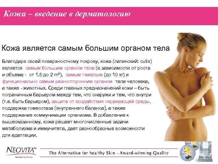 Кожа – введение в дерматологию Кожа является самым большим органом тела Благодаря своей поверхностному