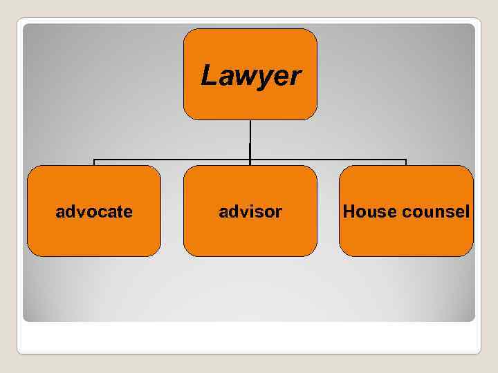 Lawyer advocate advisor House counsel 