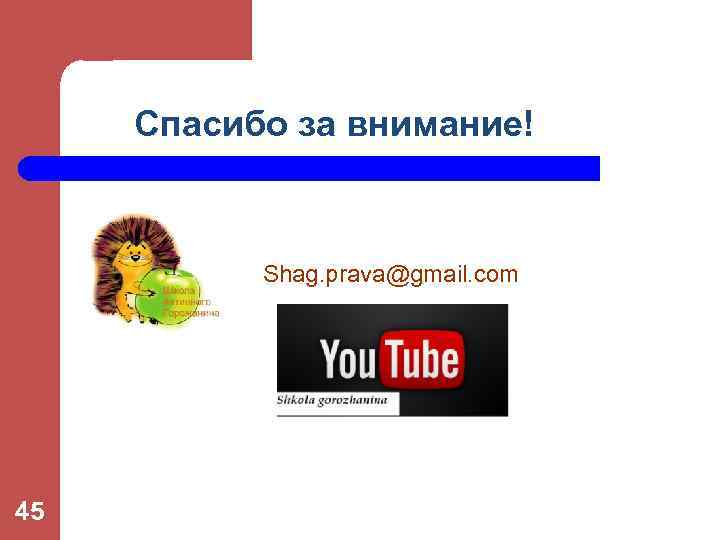 Спасибо за внимание! Shag. prava@gmail. com 45 