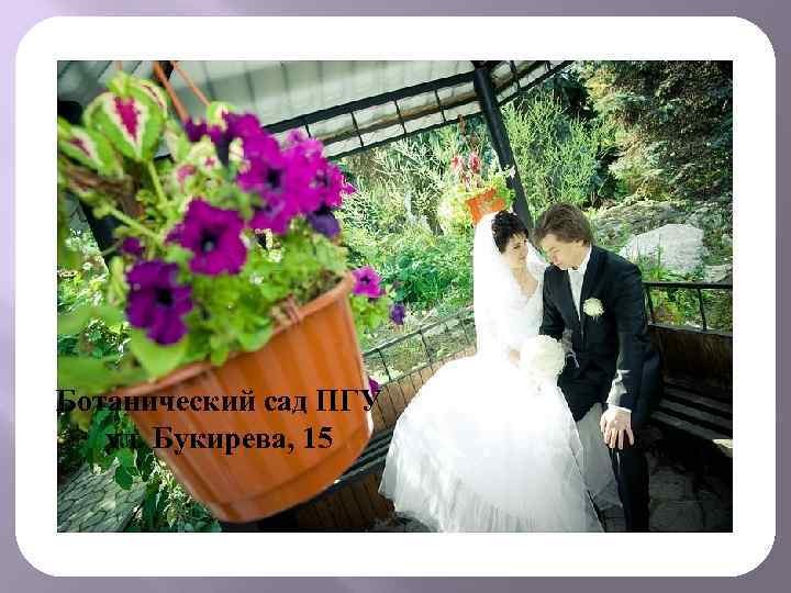 Ботанический сад ПГУ ул. Букирева, 15 