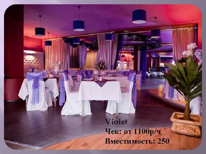 Violet Чек: от 1100 р/ч Вместимость: 250 