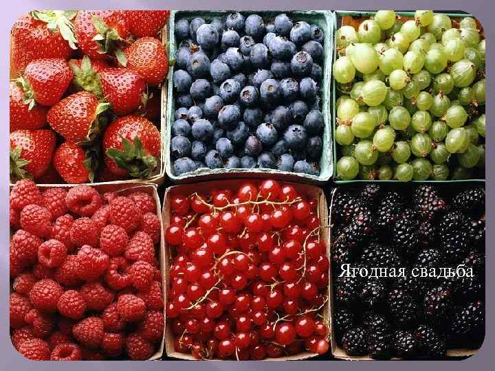Ягодная свадьба 