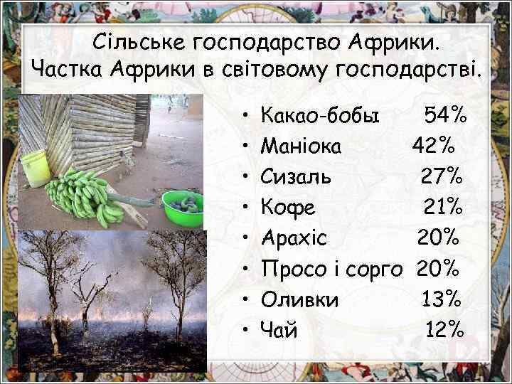 Сільське господарство Африки. Частка Африки в світовому господарстві. • • Какао-бобы Маніока Сизаль Кофе