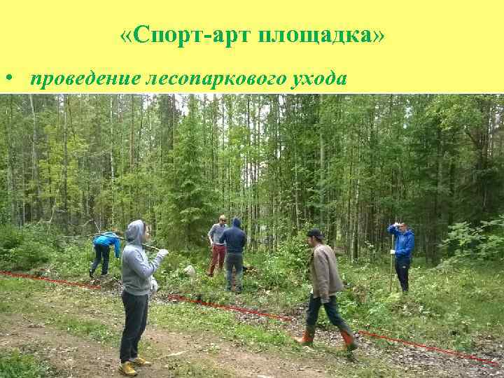  «Спорт-арт площадка» • проведение лесопаркового ухода 