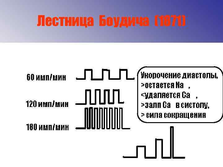 Лестница Боудича (1871) 