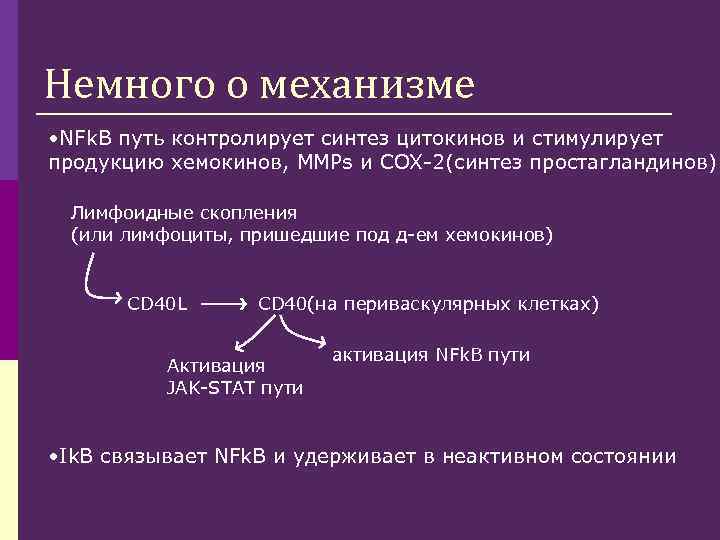 Немного о механизме • NFk. B путь контролирует синтез цитокинов и стимулирует продукцию хемокинов,