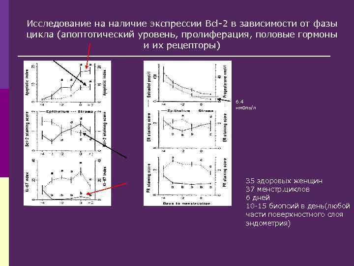 Исследование на наличие экспрессии Bcl-2 в зависимости от фазы цикла (апоптотический уровень, пролиферация, половые