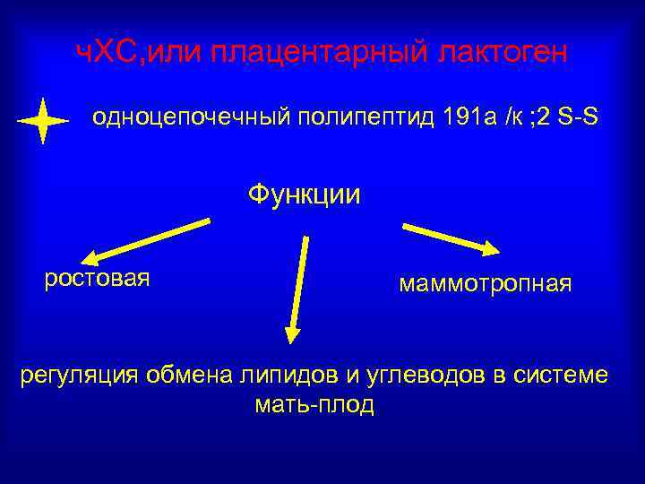 ч. ХС, или плацентарный лактоген одноцепочечный полипептид 191 а /к ; 2 S-S Функции