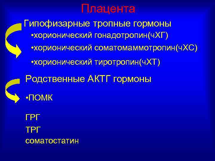 Плацента Гипофизарные тропные гормоны • хорионический гонадотропин(ч. ХГ) • хорионический соматомаммотропин(ч. ХС) • хорионический