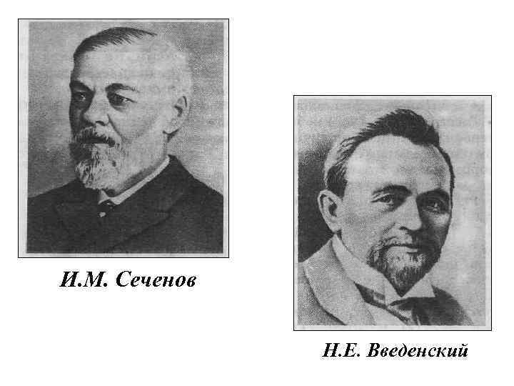 И. М. Сеченов Н. Е. Введенский 