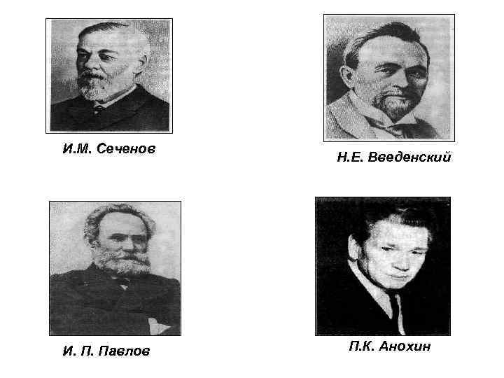 И. М. Сеченов И. П. Павлов Н. Е. Введенский П. К. Анохин 