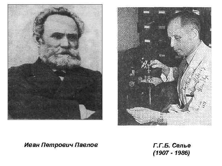 Иван Петрович Павлов Г. Г. Б. Селье (1907 - 1986) 