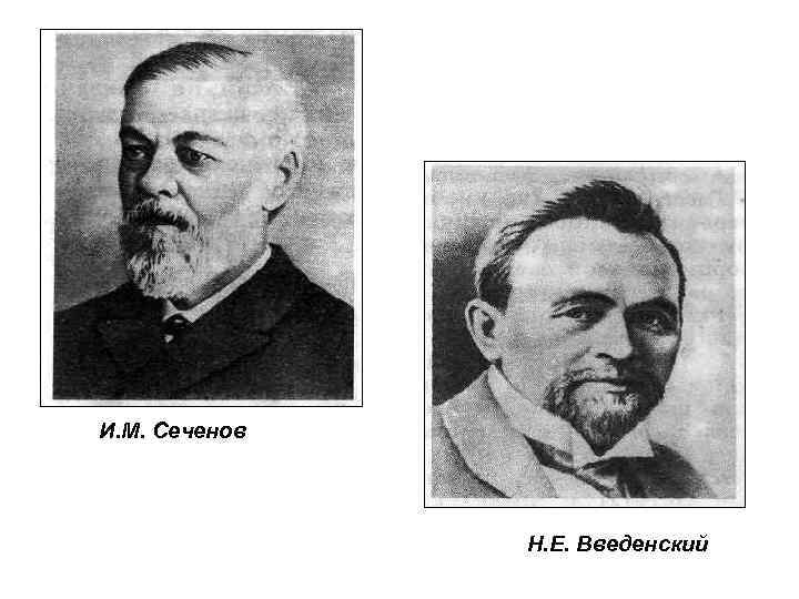И. М. Сеченов Н. Е. Введенский 