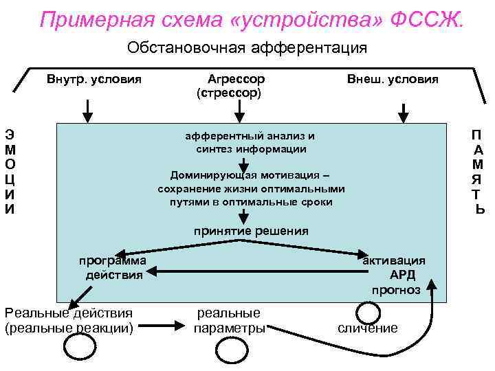 Примерная схема «устройства» ФССЖ. Обстановочная афферентация Внутр. условия Э М О Ц И И