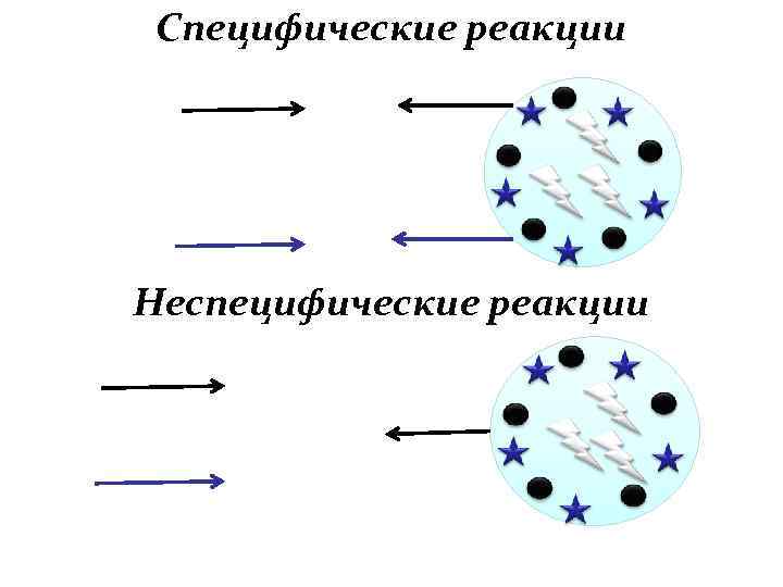 Специфические реакции Неспецифические реакции 