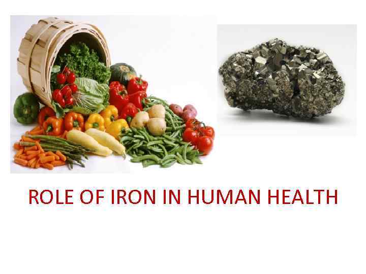ROLE OF IRON IN HUMAN HEALTH 