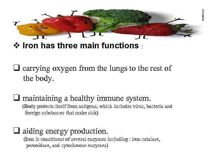  • v Iron has three main functions : q carrying oxygen from the